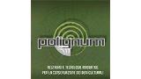 Polignum srl