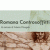 Romana Controsoffitti