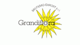 Grandiflora Sanremo Export s.r.l.