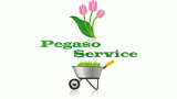 PEGASO SERVICE