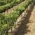 Investire in terreni agricoli e relativi annessi