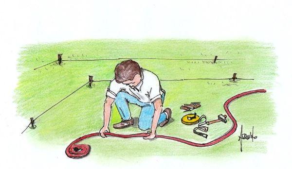 Giardino: un progetto per gli spazi esterni Piante disegno Giardino