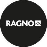 Logo Ragno