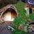 Casa autocostruita low cost