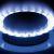 Bollette luce e gas