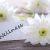 Cromoterapia ed Aromaterapia