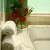 Centro benessere in bagno