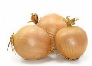 cipolla dorata cipolla dorata