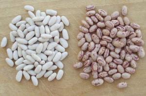 fagioli fagioli