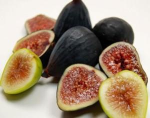 fichi 2
