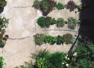 crack garden 2
