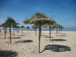 Spiaggia vegetale, Cesenatico