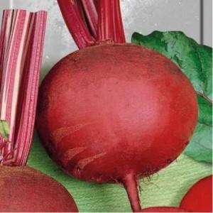 barbabietola rossa