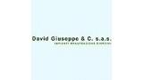 DAVID GIUSEPPE & C. sas
