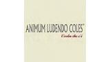 Animum Ludendo Coles