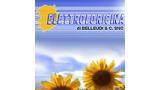 Elettroloricina Di Belleudi & C. Snc (nettuno)