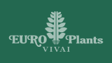 Euro Plants Vivai