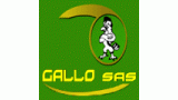 Gallo Sas Di Gallo Roberto & C.