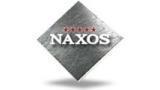 NAXOS - Gruppo Fincibec spa