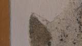 Ripristinare muro danneggiato 3 del commento di Giulianobraglia
