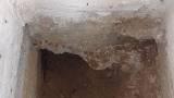Problema bocche di lupo piene di terra e umidit&agrave; in cantina/box 5 del commento di Relicanth