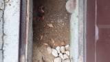 Problema bocche di lupo piene di terra e umidit&agrave; in cantina/box 7 del commento di Relicanth