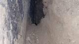 Problema bocche di lupo piene di terra e umidit&agrave; in cantina/box 9 del commento di Relicanth