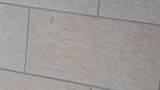 Aiuto pavimento terrazzo effetto pietra 1 del topic di Damianobattista
