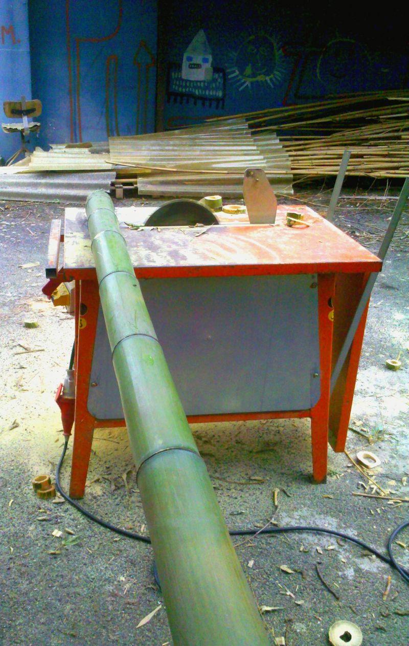 In vendita canne di bambu con diametri da 1 a 10 cm. 6