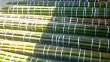 Thumbnail In vendita canne di bambu con diametri da 1 a 10 cm. 2