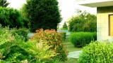 Thumbnail Torino Montanaro - Villa con giardino e terreno vendesi 5