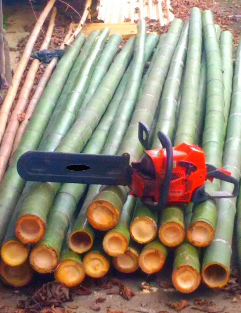 Vendo canne di bambù bambu con diametro da 1 a 10 cm. 3