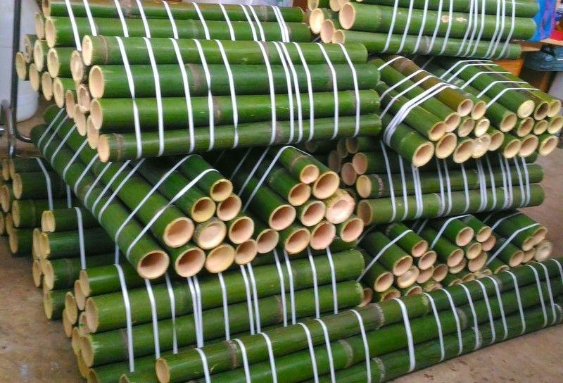 Vendo canne di bambù bambu con diametro da 1 a 10 cm. 7