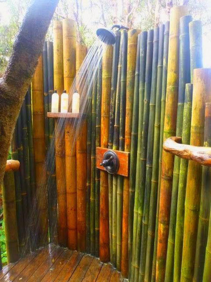 Vendo canne di bambù bambu con diametro da 1 a 10 cm. 8