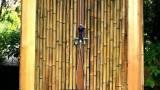 Thumbnail Vendo canne di bambù bambu con diametro da 1 a 10 cm. 5