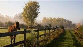 Chiusura del fondo e servitù