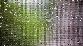 Zanzariere certificate CE