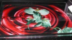 Tecnologia LED: usi consolidati ed innovazione