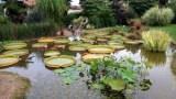 Saluzzo inedita: visita al giardino botanico