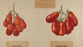 Museo della Biodiversità a Portici