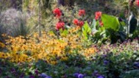 Il Giardino Mediterraneo