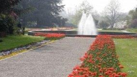 Fiori e Colori a Minoprio