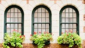 Alterazione del decoro e poteri dell'amministratore