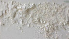 Umidità nell'edificio e responsabilità del condominio