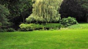 Legittimità sulla trasformazione di parte del giardino in parcheggio