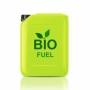 biocarburanti e biomasse