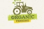 Fertilizzante organico