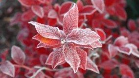 Lavori in giardino di Gennaio