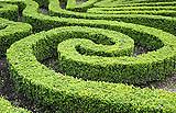 Nei giardini alla francese si trovano spesso anche veri e propri labirinti di siepi.