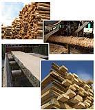 Trattamenti del legno